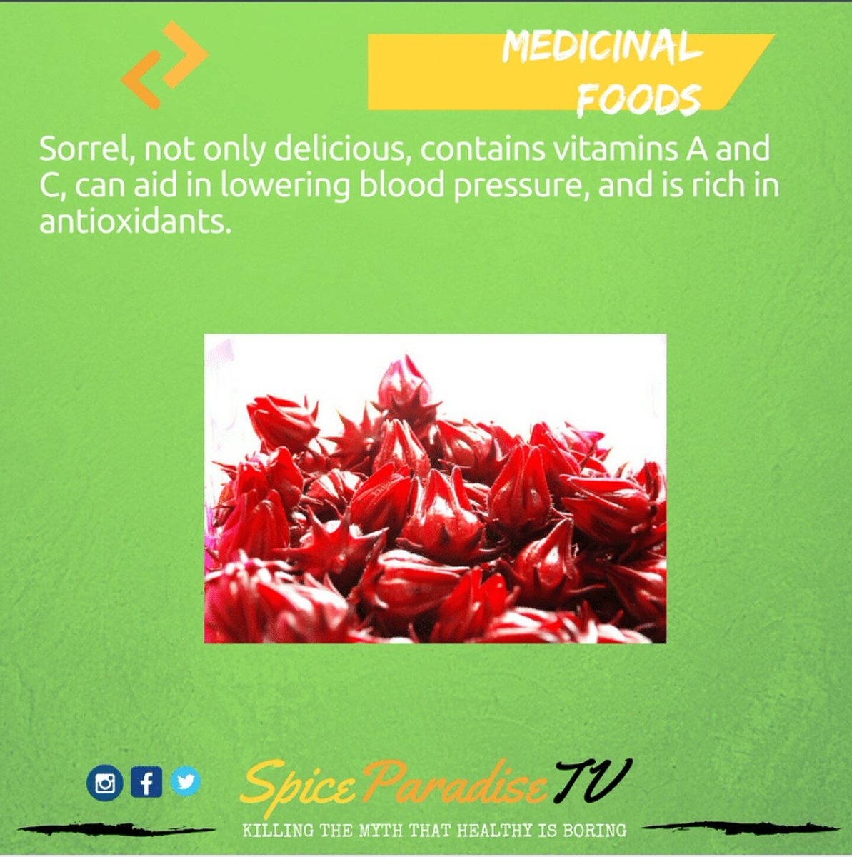 Spice Paradise (@spiceparadisetv) / Posts / X
