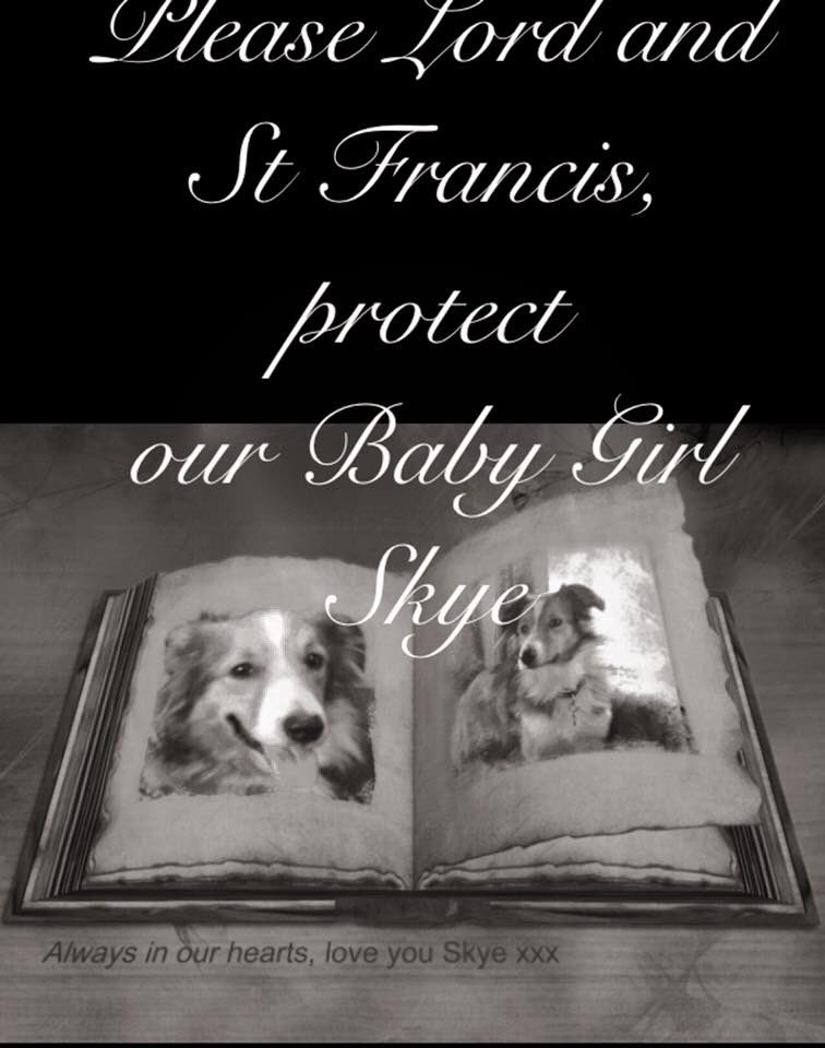 Always in our ❤️ #Skye