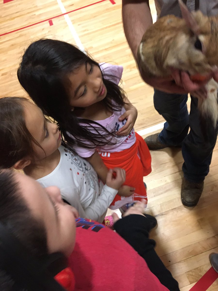 Ms_Danford's tweet photo. #addamslearners at an awesome assembly! Animals of the world! https://t.co/kyWAAoUo1v