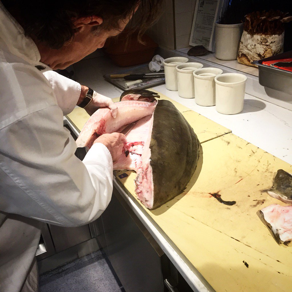 Günter Seeger tweet media