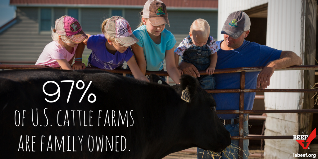 iowabeefcouncil's tweet photo. #DYK #FunFactFriday #FarmFunFact #iacattle #iabeef #farms #cattle #beef https://t.co/8csvSf8uVU