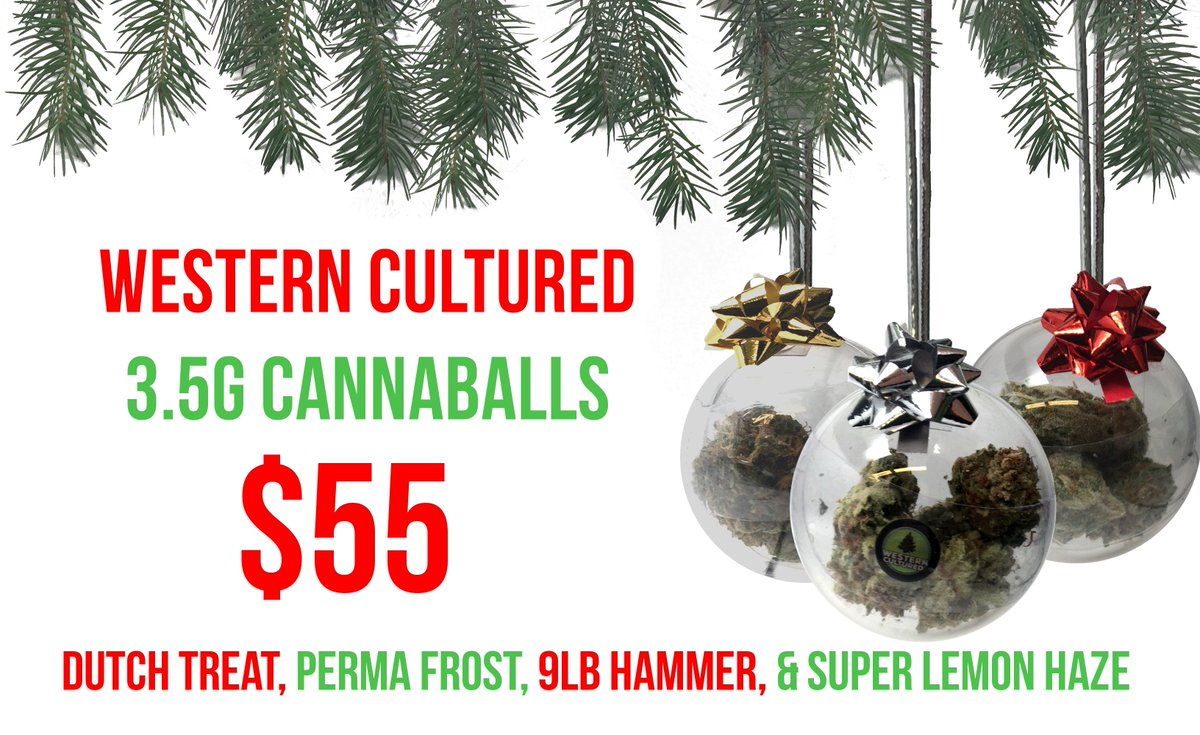 green_theory502's tweet photo. Cannaballs are Here! We have the trees for your tree, 4 different strains to choose from &amp; a great gift for those difficult to shop for. https://t.co/Cm3XAehCkH