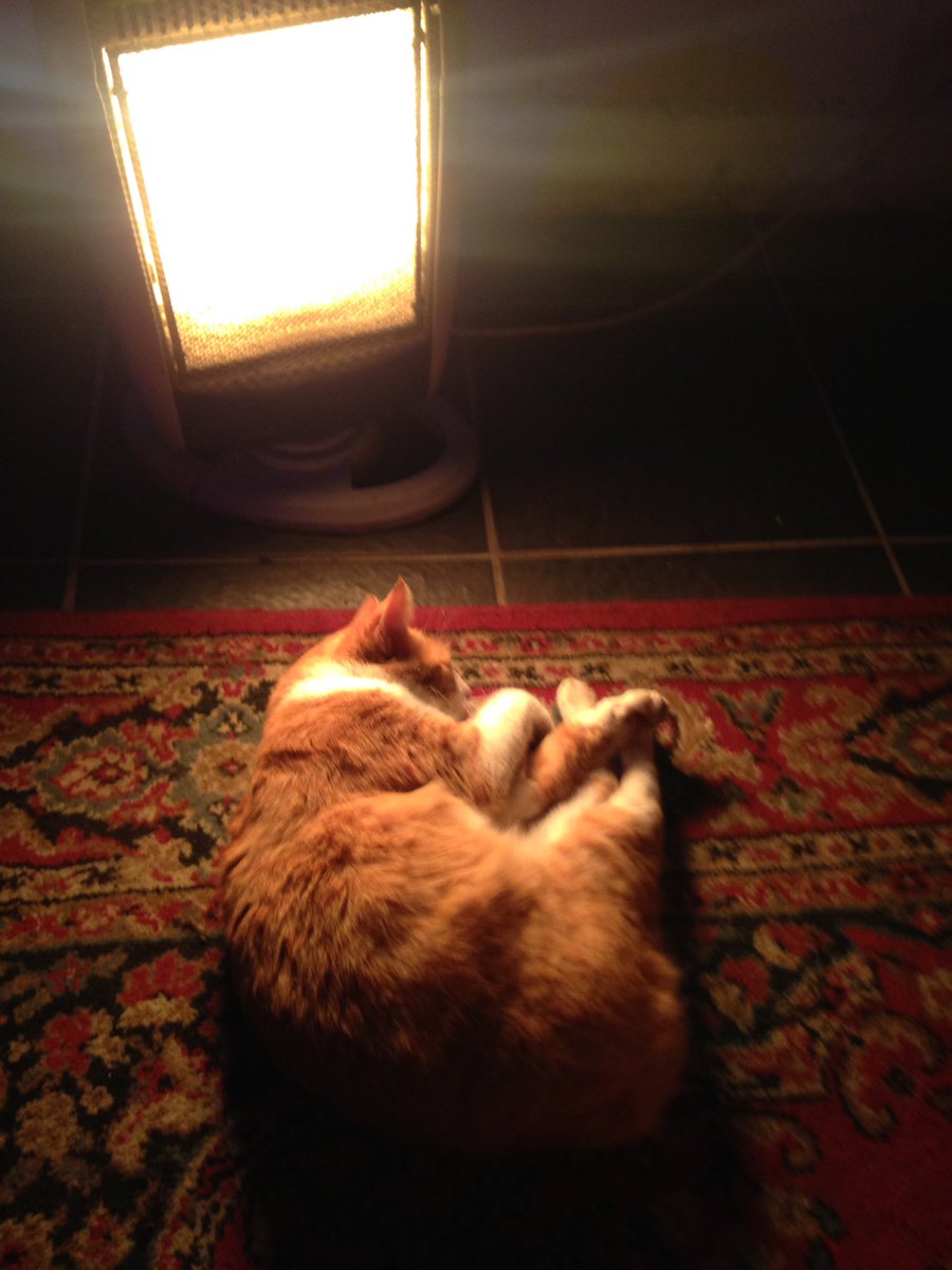 Chilling with this guy <a href="/NewRiverStudios/">NewRiverStudios</a> waiting to soundcheck. Come get easy, doors at 8