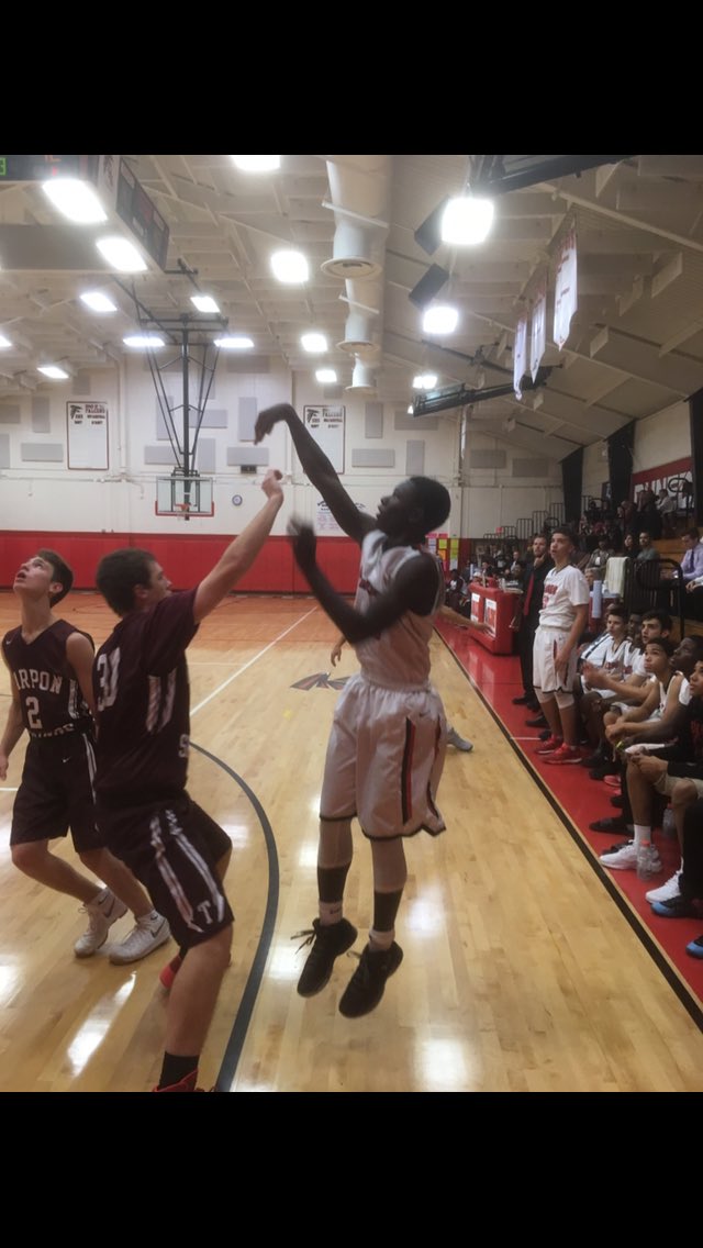 dunedin high bball tweet media
