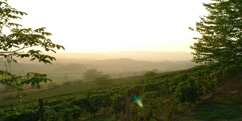 La Luna del Rospo, a top experience for a wine &amp; food lover! bit.ly/1KKBneV #travel #enotourism #winemaker