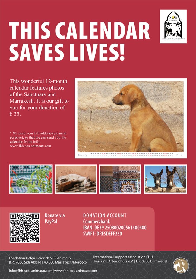 veggieheart's tweet photo. This calendar saves lives! Go get it :) #SaveLives #animals #giftsofhope #giftingmadeeasy #giveloveonchristmasday #savedogs #donate #dogs https://t.co/6fkZVDCI7g