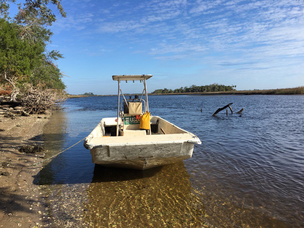 Mstokesb's tweet photo. OTN PATs out on #gulfsturgeon in Suwannee R. FL, for marine depth pref, collab @acadiaresearch @OceanTracking @USGS https://t.co/KTEy6FPVZz