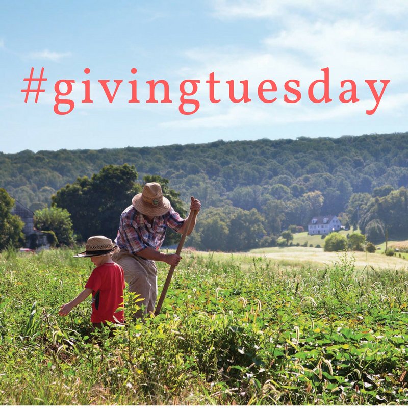 This #givingtuesday support our work to create a more sustainable &amp; fair #foodsystem! bit.ly/SupportFRESHFA…