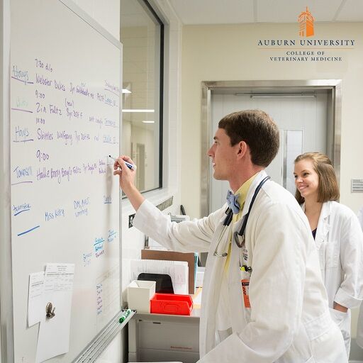 Auburn University College of Veterinary Medicine tweet media