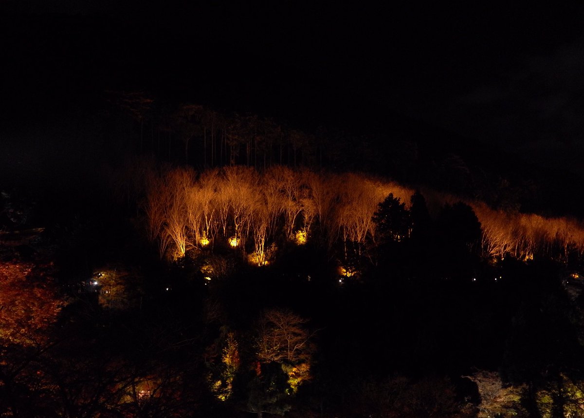 linnagu76's tweet photo. picture from tonight，just found there was a budda like image inside the woods...so magic https://t.co/H59riB4Jxt