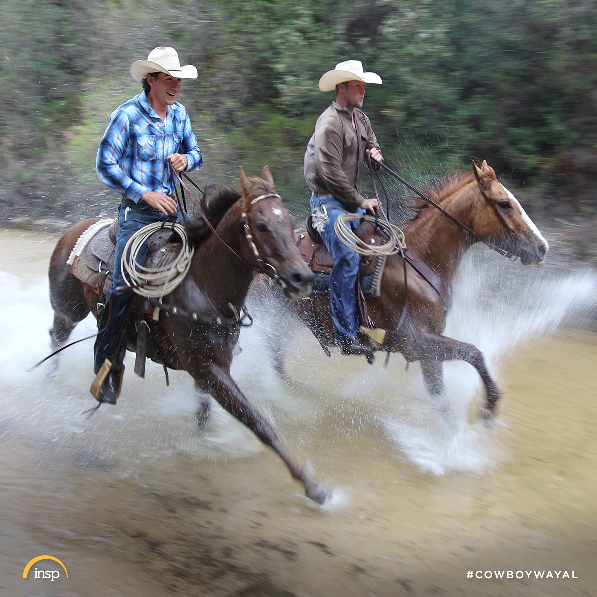 insp_tv's tweet photo. The #CowboyWayAL saddles up for an Original Series Premiere on INSP in August 2017 with @BubbaT2120, @brown_booger &amp; @WowCodyHarris! https://t.co/g69nqmobwc
