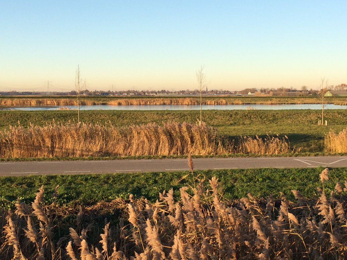 𝔽𝕣𝕖𝕕 𝕄𝕒𝕣𝕣𝕖𝕖 ☼ (@fredmarree) on Twitter photo Al wandelend blijft de #herfst boeien. Bevroren sloten en vanuit #Rotterdam gezien de #Eendragtspolder en verderop #Zevenhuizen. <a href="/Zuidplas/">Gemeente Zuidplas</a> Al wandelend blijft de #herfst boeien. Bevroren sloten en vanuit #Rotterdam gezien de #Eendragtspolder en verderop #Zevenhuizen. <a href="/Zuidplas/">Gemeente Zuidplas</a>