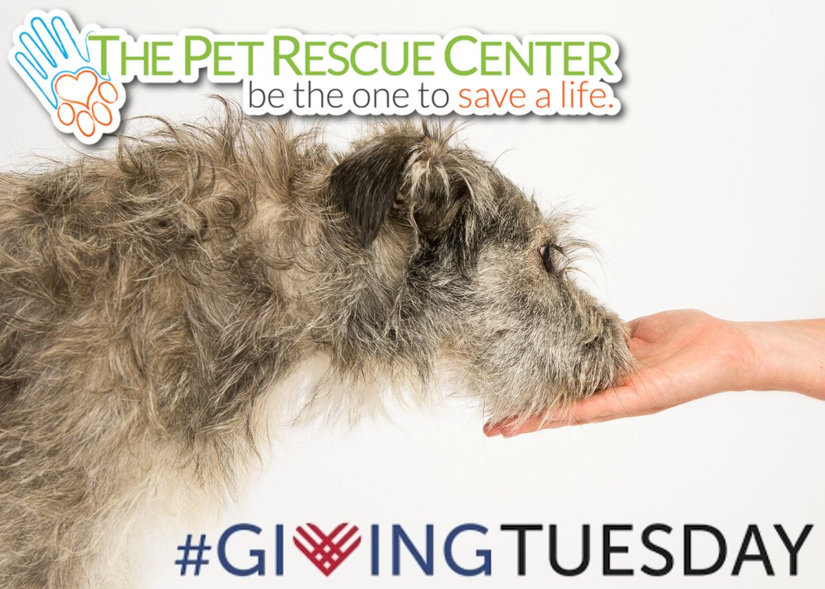 It's #GivingTuesday Please make a donation to The Pet Rescue Center :thepetrescuecenter.org and be the one to save a life!