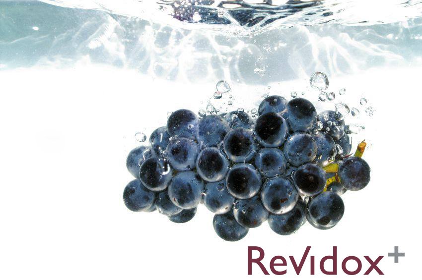 RevidoxIreland's tweet photo. Did you know that Resveratrol-enriched Grape Extract is a key ingredient in #Revidox+ making it a natural way to slow #aging cells #skincare https://t.co/cUV5RjqFZe