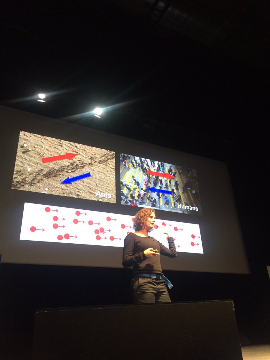 BlueTalksConf's tweet photo. What the link between human and ants? Maybe the same way ... @Docteur_Drey https://t.co/ucaEN5jqgo