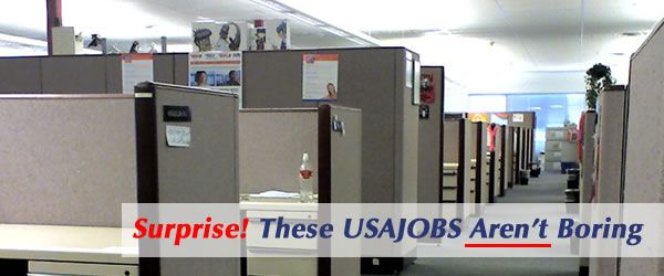 Considering #USAJOBS? Here are a few really interesting positions.  buff.ly/2gk567w #federal #employment