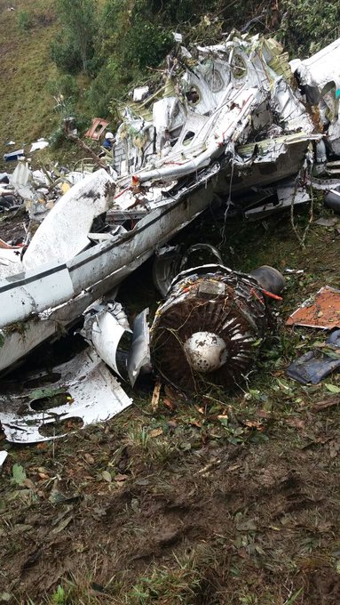 Ver imagem no Twitter