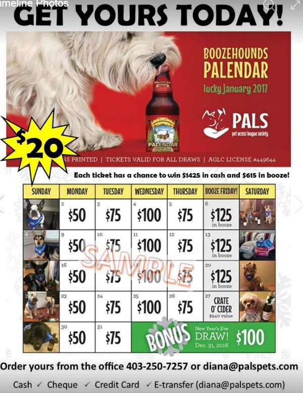 WoolyTully's tweet photo. #GivingTuesday buy&amp;give, give to @PALSCalgary it's a win/win and give/give! @yycnow @dogs_yyc @EdParkDogsYYC @DroolYYC @fedyyc @yycretweet https://t.co/Ujo2tdt657