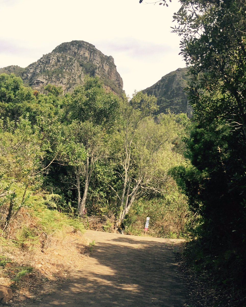 TableMTB's tweet photo. Trail signage starting to appear in new places.There's a 22% along a section of the trails.Go find it from Thursday @FullSussa @SubaruCape https://t.co/lbyIFxA2HW