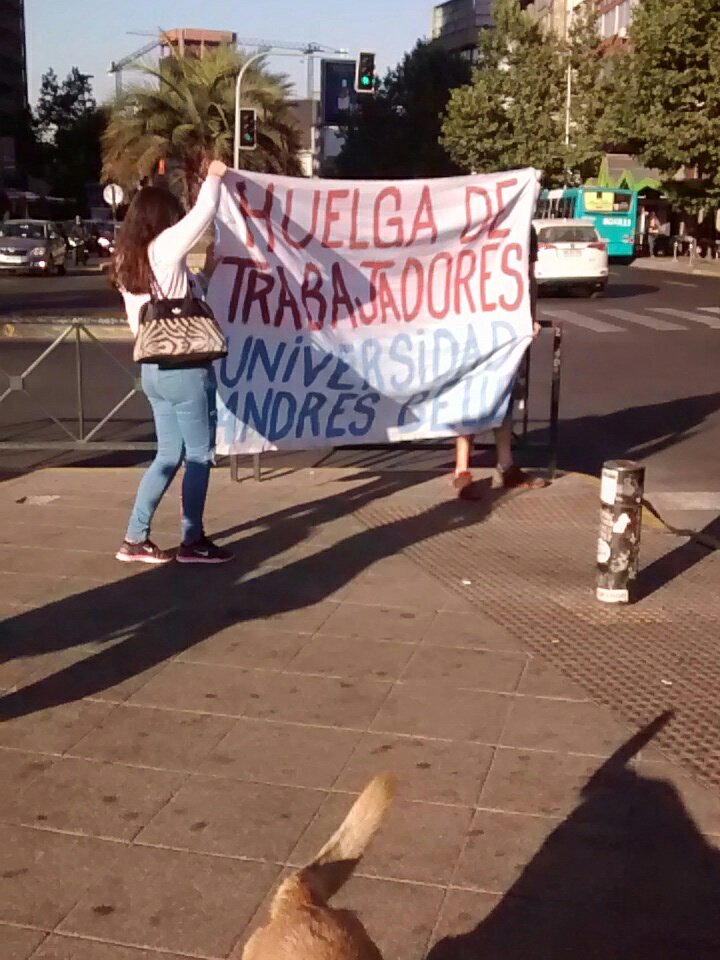 radio_festival's tweet photo. Trabajadores de UNAB a lo largo del país llevan 19 días de #Huelga vía @Sunab8 #Santiago #VinadelMar #Concepcion https://t.co/oT9CTXgJIG