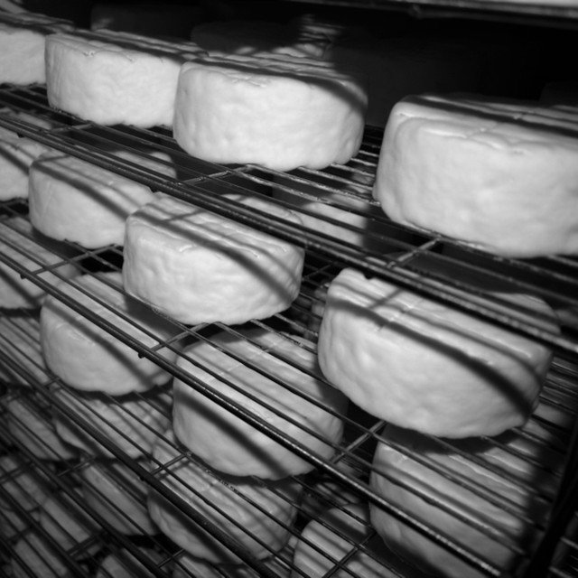 Mini Kinderhooks, aging. #oldchathamcreamery ift.tt/2fI7Xpj