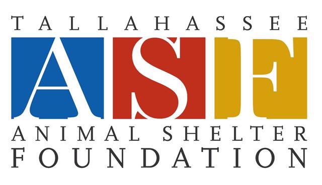 Support homeless animals in Tallahasee on #GivingTuesday by donating to animalshelterfoundation.org. Save animals &amp; reduce pet overpopulation.