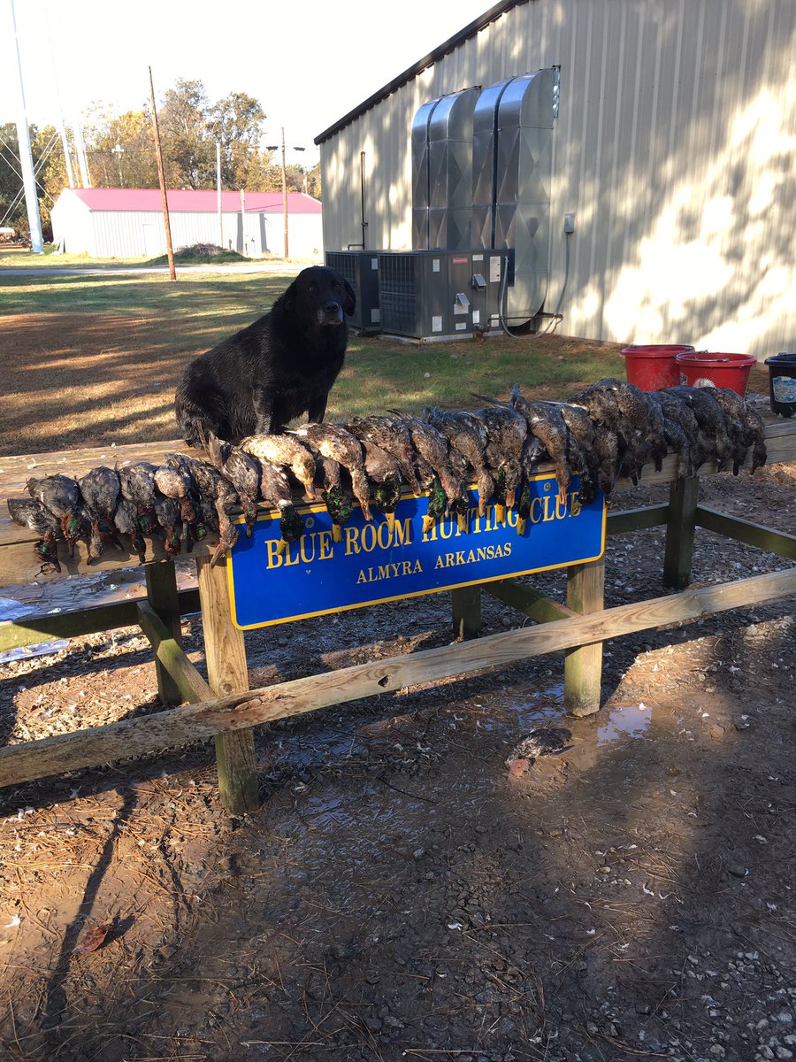 WesBottom's tweet image. Another great weekend in AR last weekend. #WesBottom