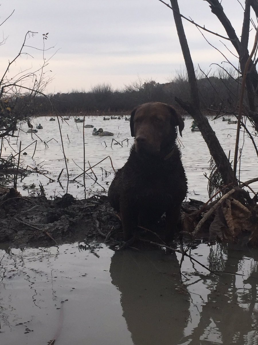 WesBottom's tweet image. Another great weekend in AR last weekend. #WesBottom