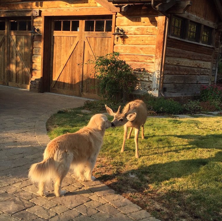 goldenhuehunter's tweet photo. life is wonderful https://t.co/s6kMboJM3G