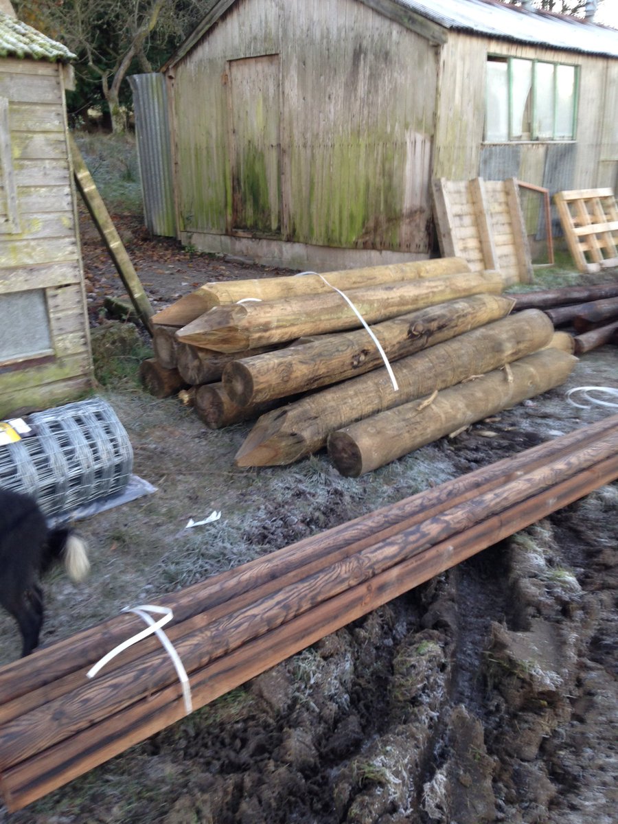 Rhys Wilson tweet media