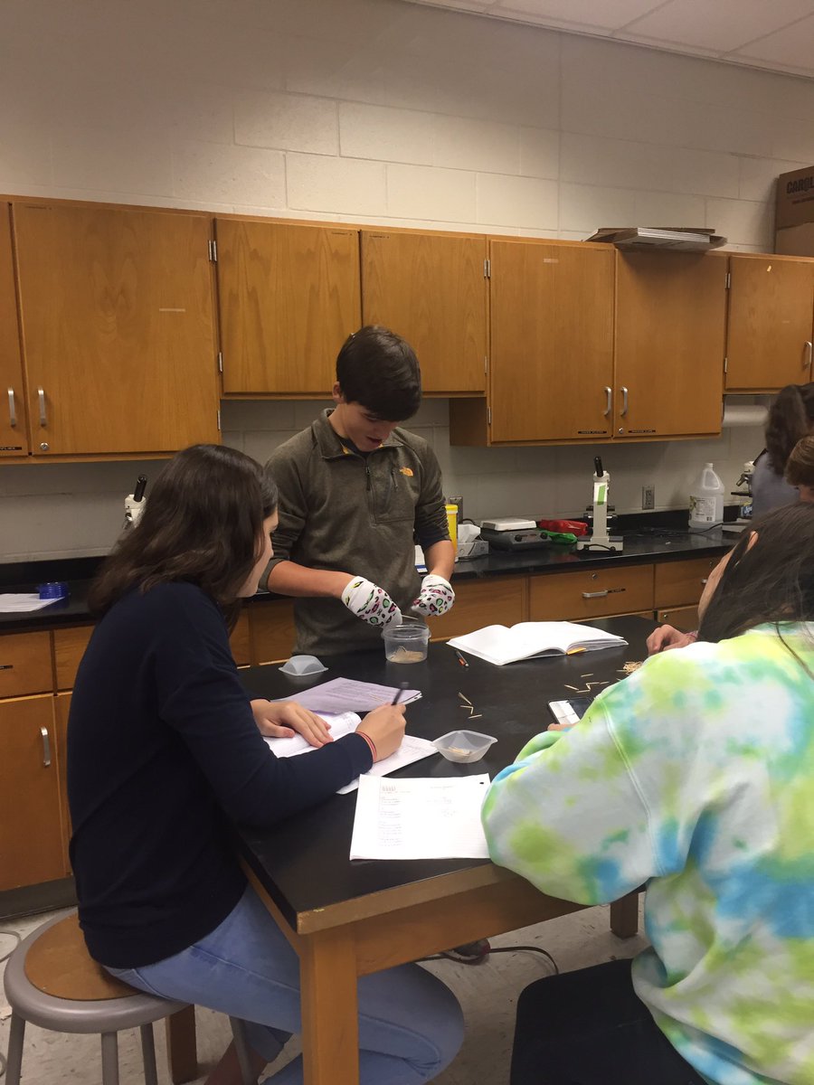 RichardsonsRebs's tweet photo. One of my favorite labs .. modeling enzymes #toothpickase @Pughology9 @VHHSRebels https://t.co/4322d0nd2b