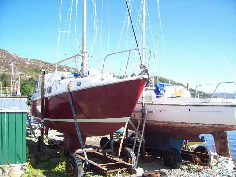 Caley Boats tweet media