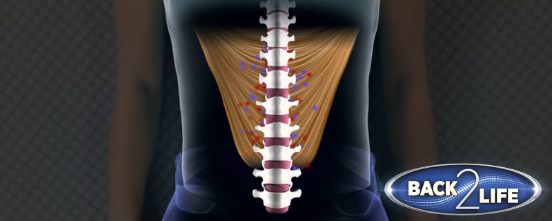 getBack2Life's tweet image. Back2Life can even help ease degenerative disc disease #pain. bck2.life/xJT3pB