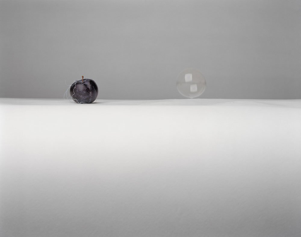 KLOMPCHING's tweet photo. Check out the wonderful Still Life photographs by #SarahLynch  https://t.co/HUI4H1XmPx  #aipadphoto #collectart #interiorstyling #artindumbo https://t.co/Y6v3P3r8Iu