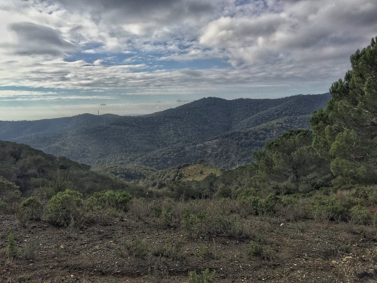 entrearbres's tweet photo. Tot un plaer assistir a l'anàlisi #sols #micofora @MarcosMorcillo evaluació viabilitat #tofones finca #canaguilera #piera #anoia #sinergies https://t.co/tif23TIe37