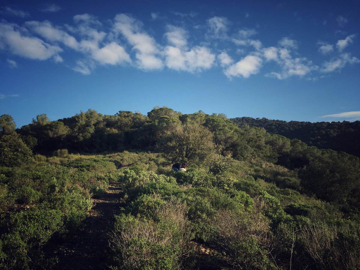 entrearbres's tweet photo. Tot un plaer assistir a l'anàlisi #sols #micofora @MarcosMorcillo evaluació viabilitat #tofones finca #canaguilera #piera #anoia #sinergies https://t.co/tif23TIe37