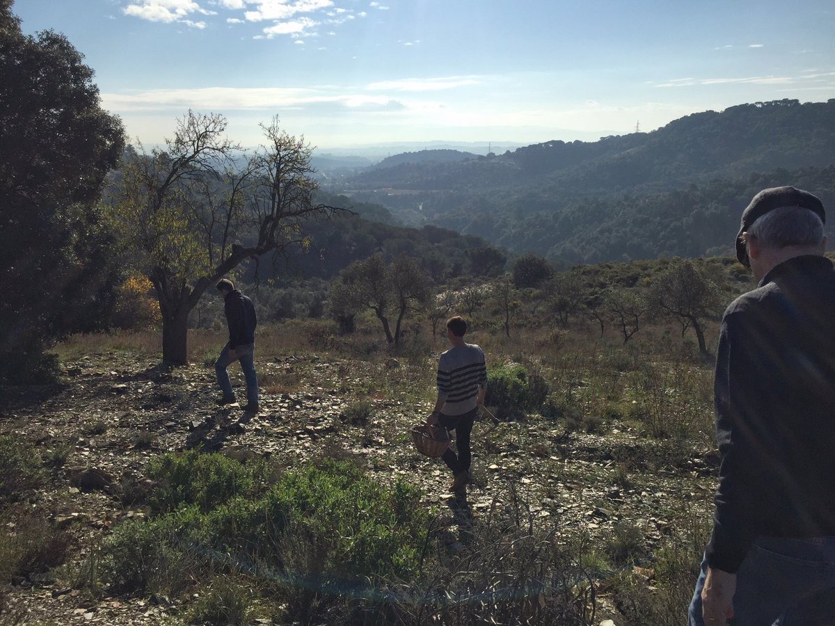 entrearbres's tweet photo. Tot un plaer assistir a l'anàlisi #sols #micofora @MarcosMorcillo evaluació viabilitat #tofones finca #canaguilera #piera #anoia #sinergies https://t.co/tif23TIe37