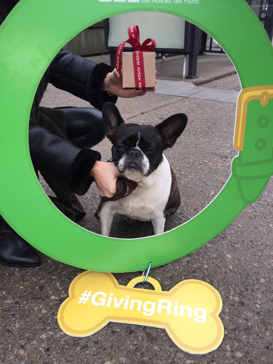 imintriguemedia's tweet photo. Thanks to our friends @Acquasalon ! We'll be giving a special someone a special treat to treat themselves #kindness #givingtuesday https://t.co/iqbHEDcxHR