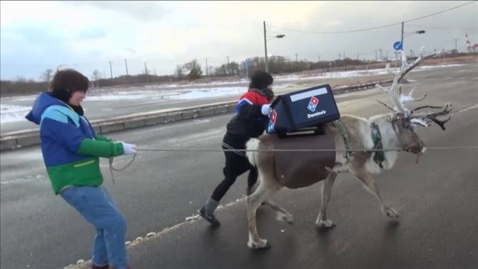 TheMorningMix1's tweet photo. Reindeer to deliver pizza?? find out in the next 10 min on @IgniteRadio1 #RadioAtMohawk listen: https://t.co/ZlMSwA15SJ https://t.co/SEhxQkuzVT