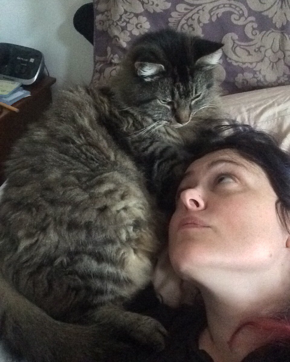 googlygirl98's tweet image. #MyMorningRoutineIncludes waking up with this a**hole staring at me.