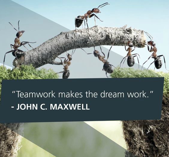 TeriSecrest's tweet image. "Teamwork makes the dream work." -John Maxwell