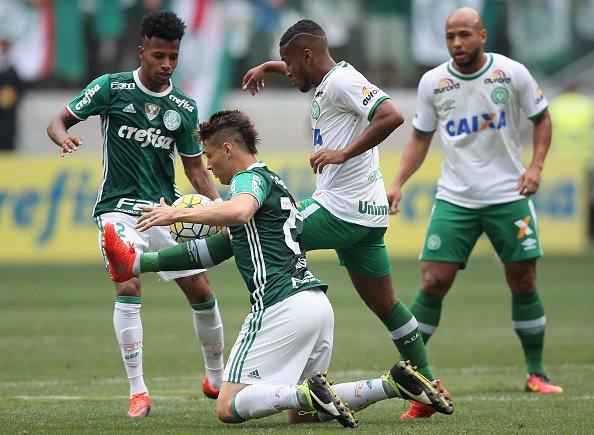 Futbol_Todo's tweet photo. Palmeiras, flamante campeón del Brasileirao, pidió autorización a la CBF de usar la camiseta de Chapecoense en la última fecha del torneo. https://t.co/xwY11ONFmh