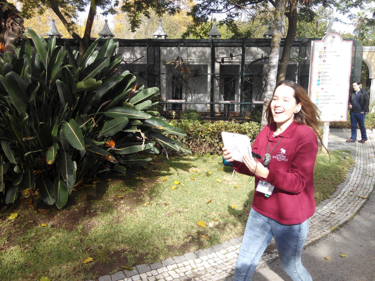TiagoMCarrilho's tweet photo. @SkypeClassroom #lisbonzoo #zooeducators Educators participating in #SkypeaThon https://t.co/tZG5Lss5Y4