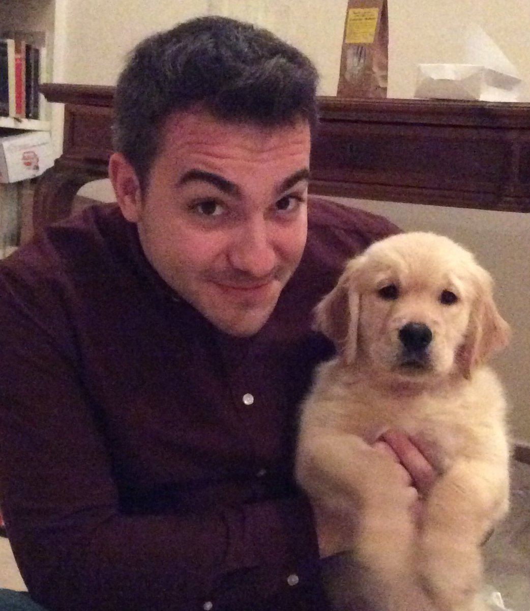 francibucci's tweet photo. Vi presento il piccolo Mirò... #purelove #dog #goldenretriever #picoftheweek #picoftheweek #friends #family #BornHumanIs #pupilli crescono! https://t.co/L1OdT2Iluv