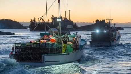 CBCNS's tweet photo. Clear weather greets kickoff of lucrative lobster season https://t.co/8Fx08Wj1L8 https://t.co/UxBy1dQKOt