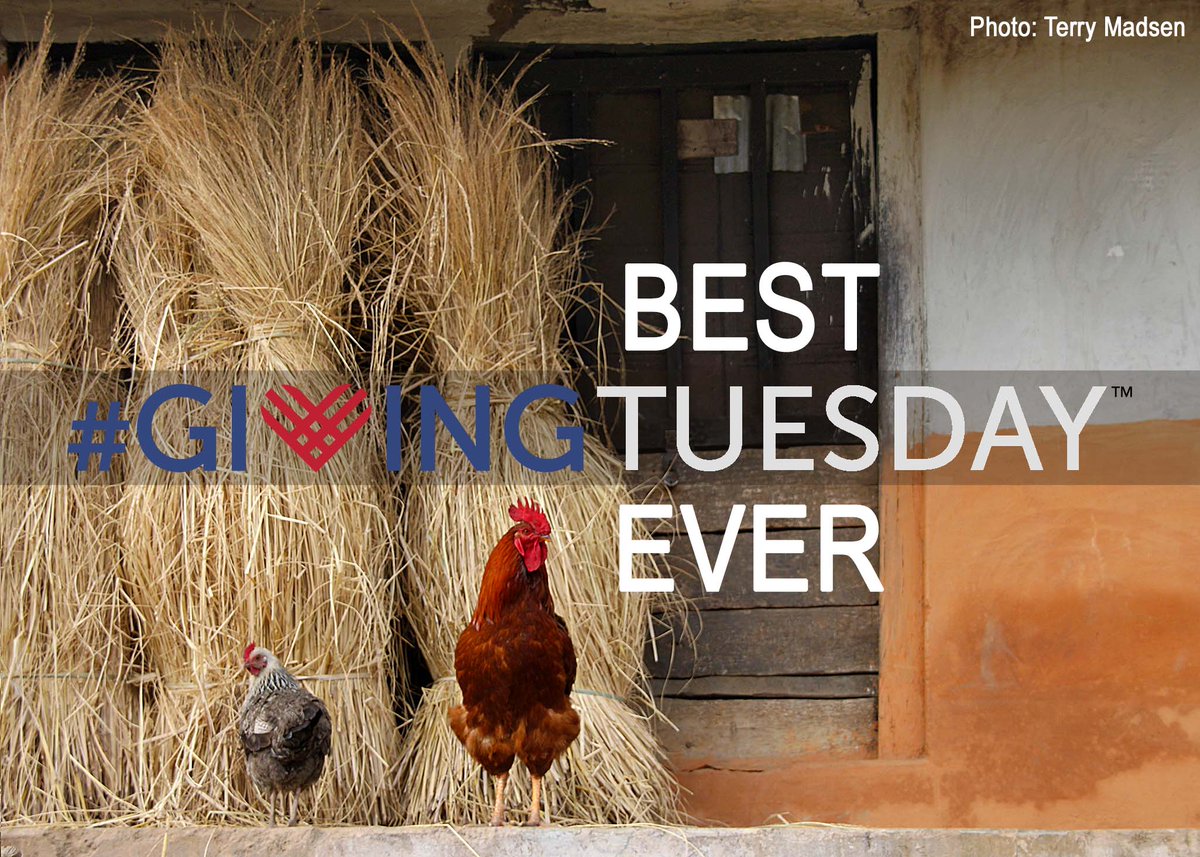 MindtheGapWorld's tweet photo. It's our favorite Tuesday! #GivingTuesday  Consider a gift to #MindTheGapWorldwide this year to benefit families and students in #Nepal. https://t.co/xJ6CJ50YgV