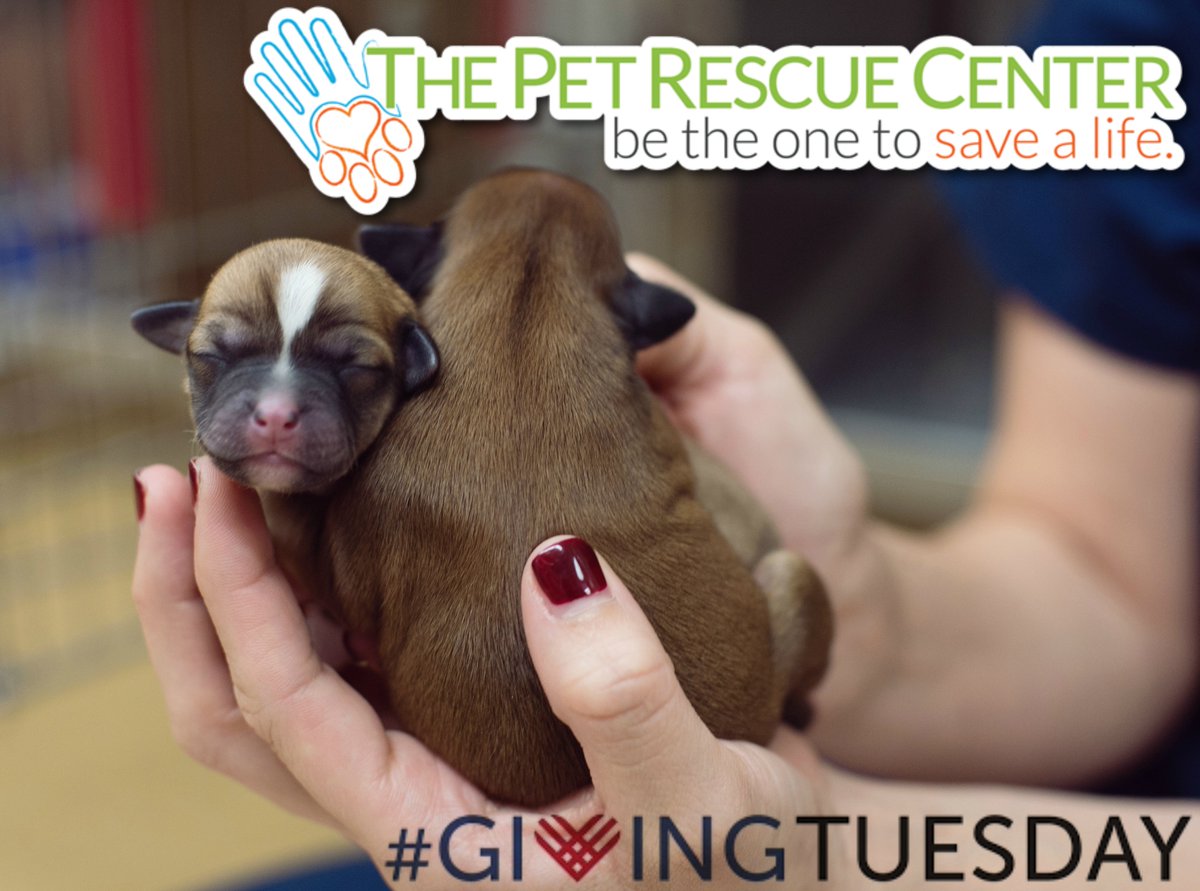 #givingtuesday   youcaring.com/2016ThePetResc…