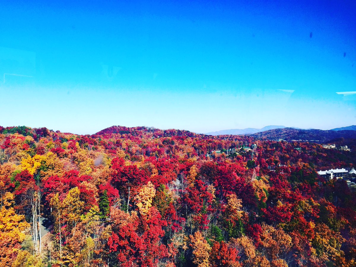 chercaruso's tweet photo. Pic taken last week in the #smokymts for an amazing vacay. Now being destroyed by wildfires. #prayforgatlinburg https://t.co/z0nAsc0mSm