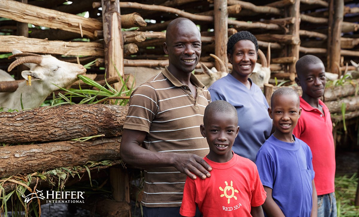Heifer's tweet photo. #GiveHeifer on #GivingTuesday and animal gifts will be MATCHED. Help more families today: https://t.co/M6V9wjFRJN https://t.co/3y3zRXrxrT