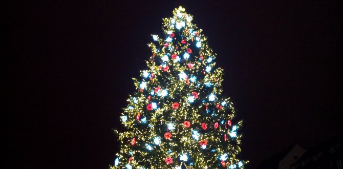 Alsace des petits tweet media